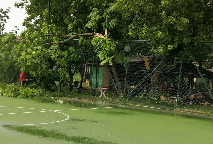 Проливен дъжд придружен с градушка е паднал в Козлодуй научи