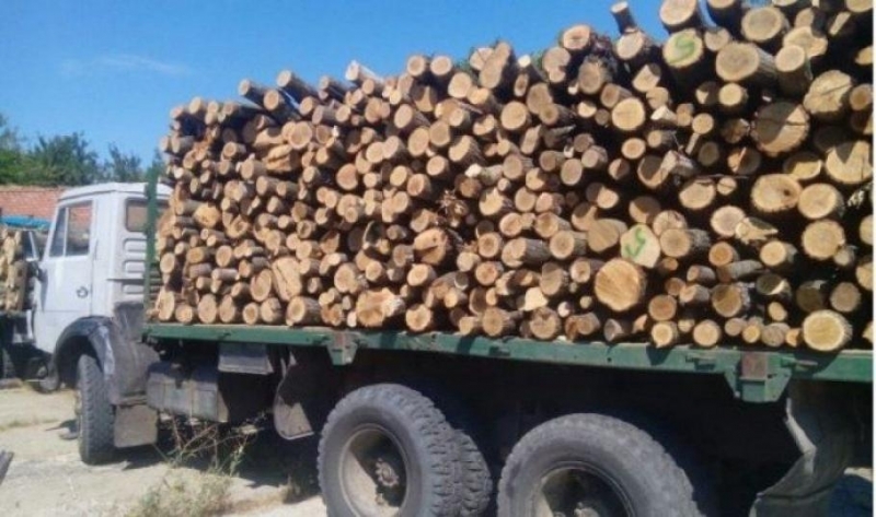 Хванаха три камиона с незаконни дърва във Видинско съобщиха от
