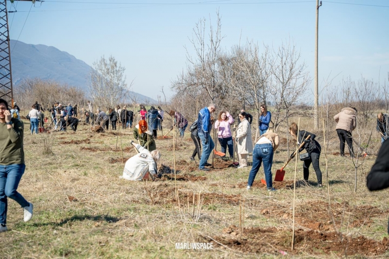 Над 1 000 ученици и доброволци се включиха в кампанията “Зелена Враца” /снимки/