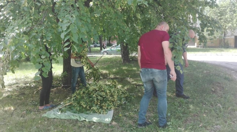 При проверка на Инспектората в района на ул. “Ген. Леонов“,