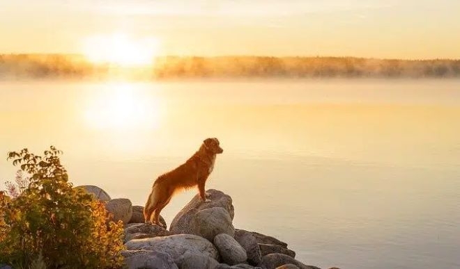 Астрономическата есен ще настъпи днес неделя  в 15 43 ч българско време