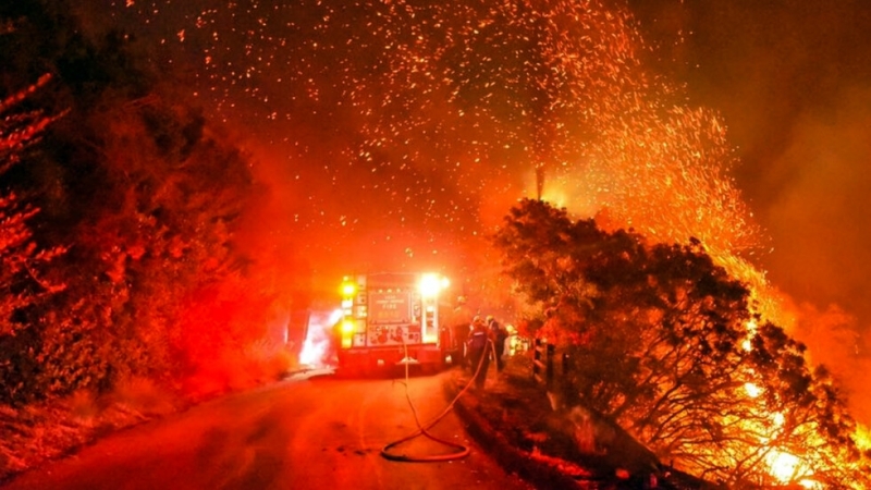 Най малко шестима души са загинали в големите пожари в Калифорния