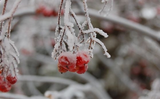 Днес преди обяд на отделни места в Дунавската равнина и