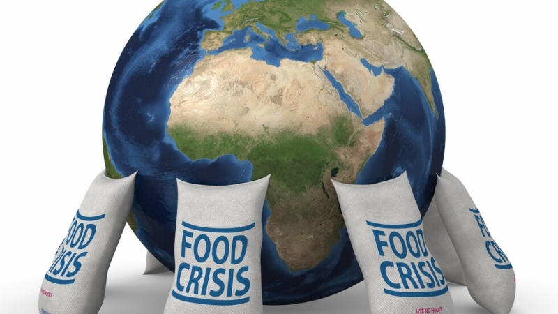 Има опасност масовата карантина по света да предизвика криза за