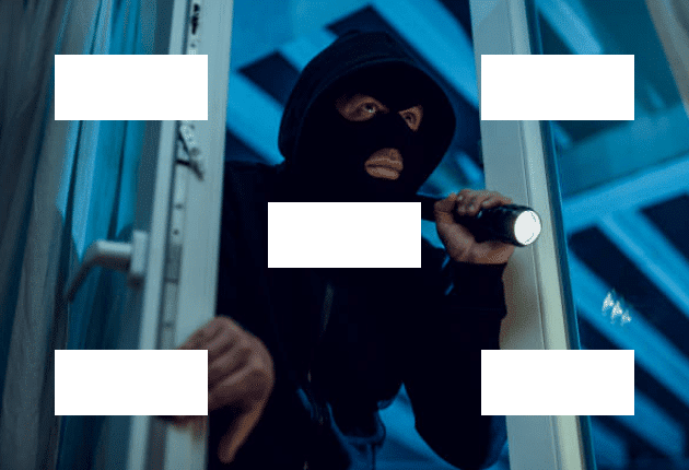 Полицаи от Монтанско издирват бандит опоскал къщата на монтанчанка съобщиха