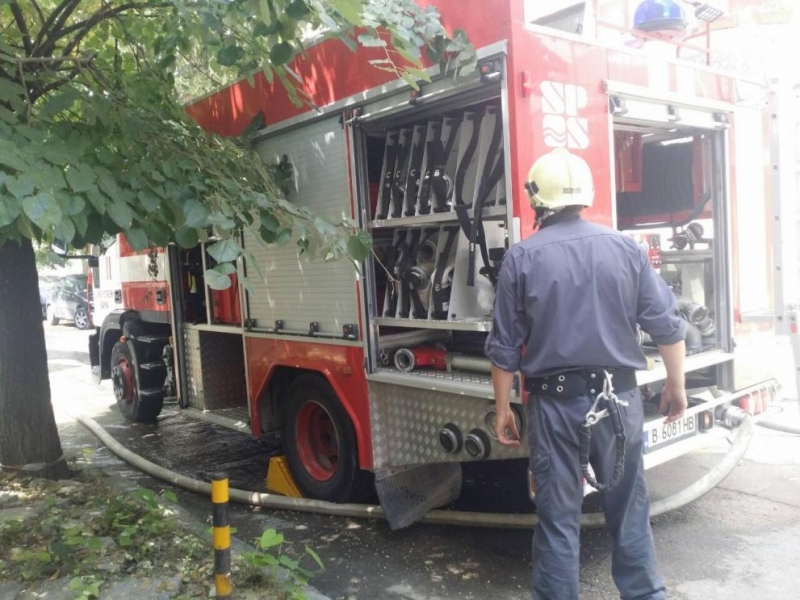 7000 пиленца изгоряха при пожар във ферма в местността Крумито във