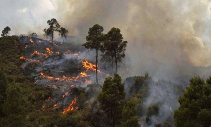 Най малко 65 души 28 от тях войници са били убити