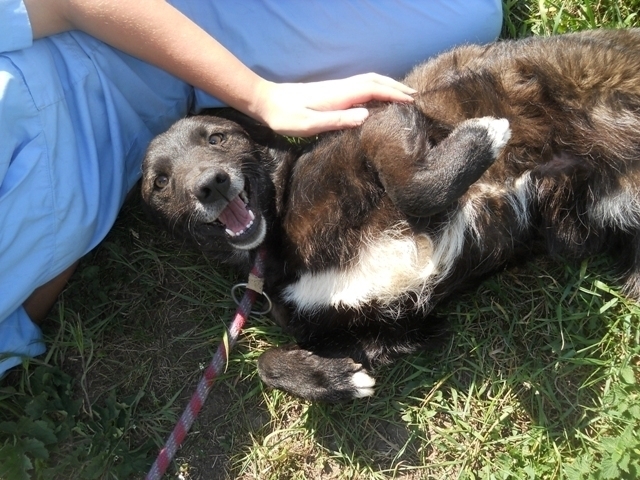 Регионалната здравна инспекция във Враца е регистрирала случай на врачанин