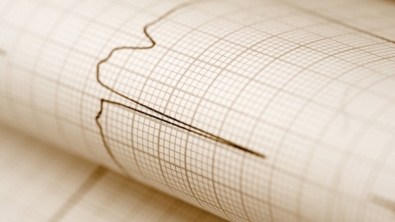 Земетресение с магнитуд 5 5 по скалата на Рихтер е регистрирано край
