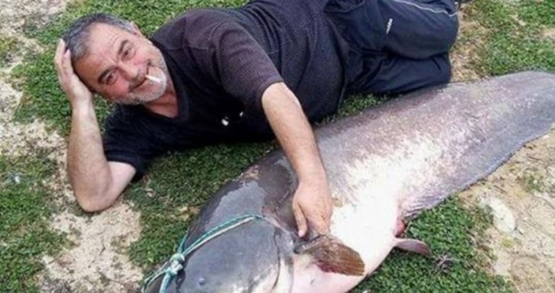 Великотърновски таксиметров шофьор изуми всички с безпрецедентен начин за улов