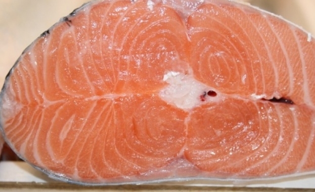 Знаем че почти всяка една храна или лекарство са полезни