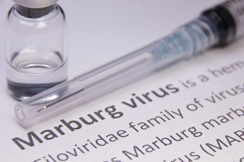 Инфекция от силно заразния марбургски вирус е регистрирана в южната