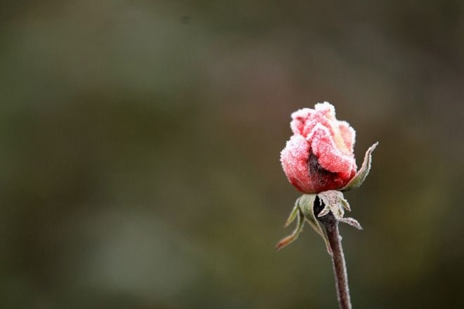 Днес вятърът ще се ориентира от запад северозапад и ще е