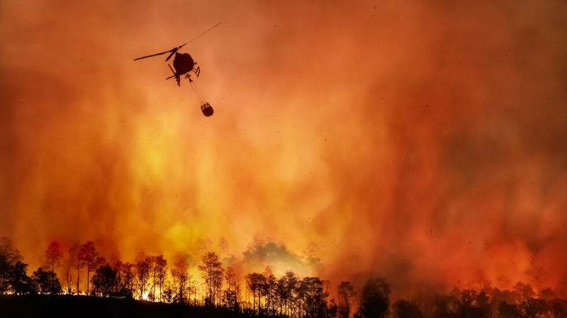 Опустошителен пожар гори в американския щат Колорадо Пламъците бушуват между