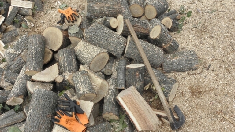 Незаконни дърва са намерени в двора на къща в Белослатинско