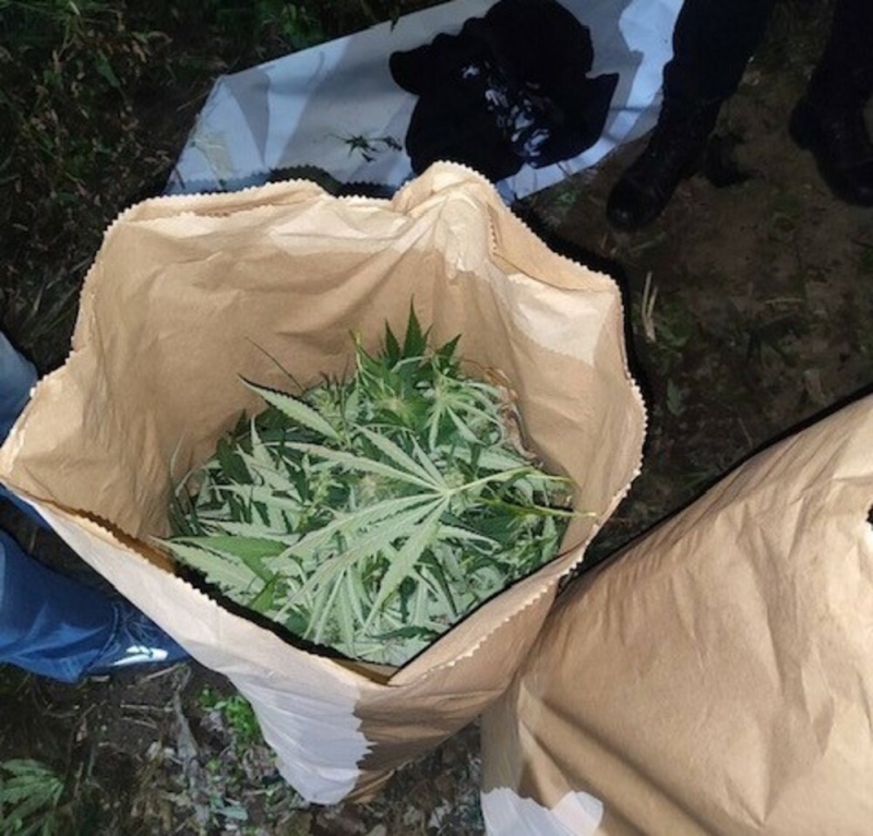 Ченгета задържаха мъж кътал наркотици в дома си в Монтанско