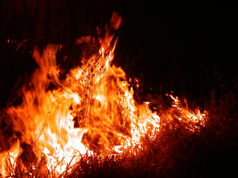 Изгорели са 600 бали и две постройки във врачанско село