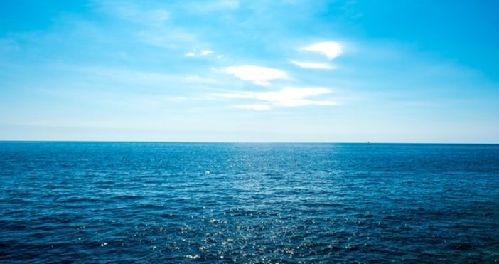 Двадесет и двама експерти публикуваха прогнози в изданието Протоколи на