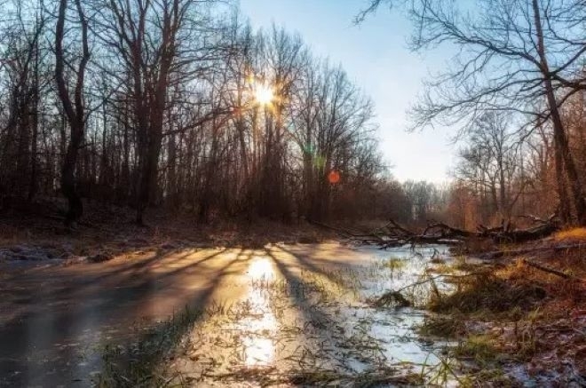 През нощта над по голямата част от страната ще бъде ясно