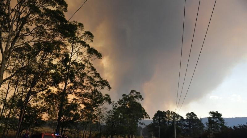 Актьори поп звезди и британското кралско семейство предложиха подкрепата си