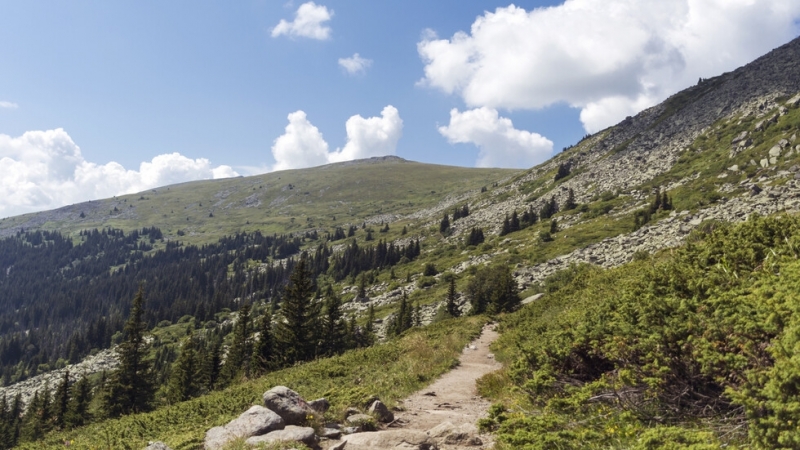 Споделете! Издирват млада жена, изчезнала на Витоша /снимки/