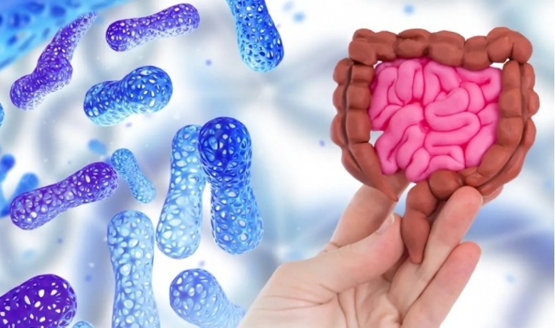 Изследване установи че пристрастените към храната хора може да имат специфичен