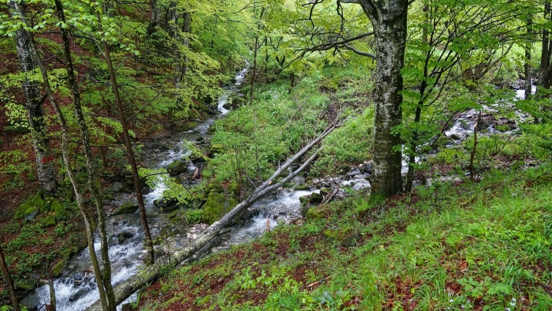Берковица обновява три туристически маршрута със средства от програмата ИНТЕРЕГ