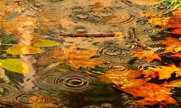 Днес до обяд облачността ще бъде значителна с валежи от