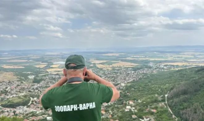 Пети ден издирват хищника в Шумен: Официална информация къде е няма