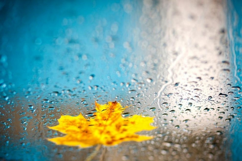 Днес над по голямата част от страната ще е предимно слънчево