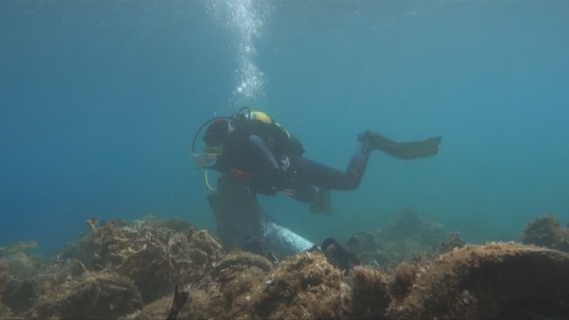 Водолази от международна неправителствена организация са извадили хиляди найлонови торбички