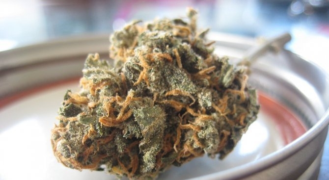 Полицията хвана младо момче с дрога Вчера около 17 00 часа