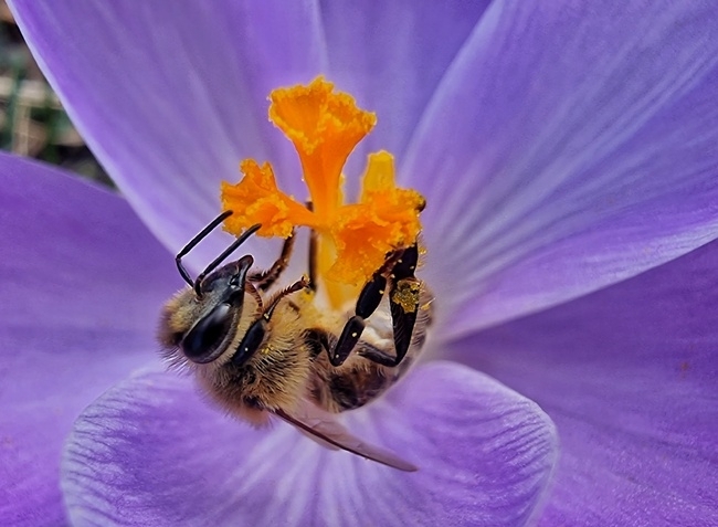 Днес ще бъде предимно слънчево Следобед от запад облачността ще