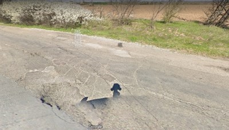 Около 2500 души от общините Лом и Брусарци са се