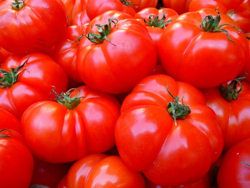 С рекордни цени са доматите у нас Според статистиките средната