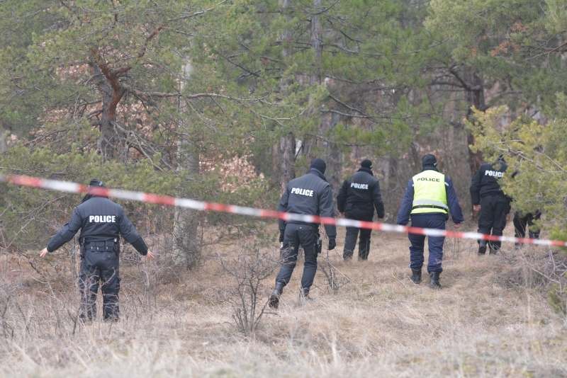 Гората край вилната зона на Нови Искър където по рано бе