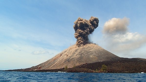 Учени от университета Къртин в Австралия установиха че преди 2