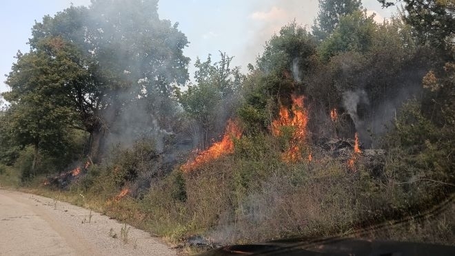 Извънредно! Огромен пожар бушува във Видинско, трябват доброволци /снимки/