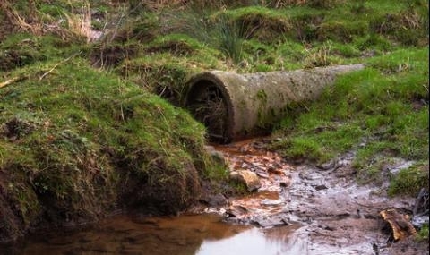 Фекални води заливат река в Mонтанско научи агенция BulNews През