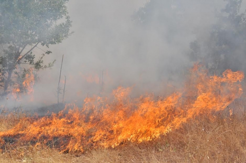 Седем пожара са гасили екипите на пожарната безопасност и защита