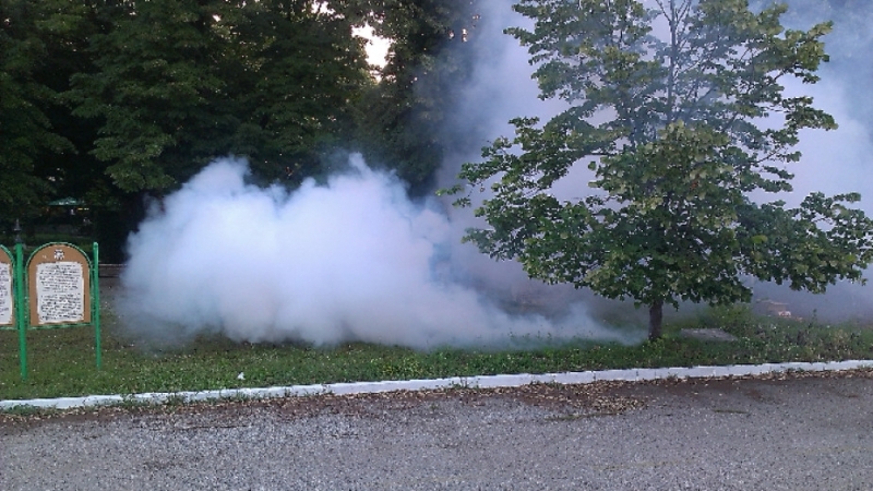 По график изготвен от Д Д Д 1 ООД и съгласуван с Общината