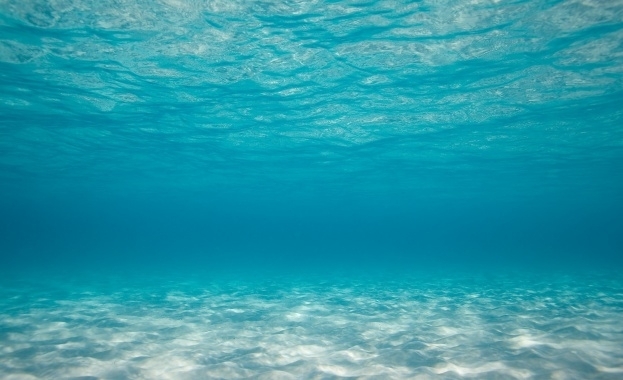 Световните лидери трябва да признаят че няма друг вариант освен