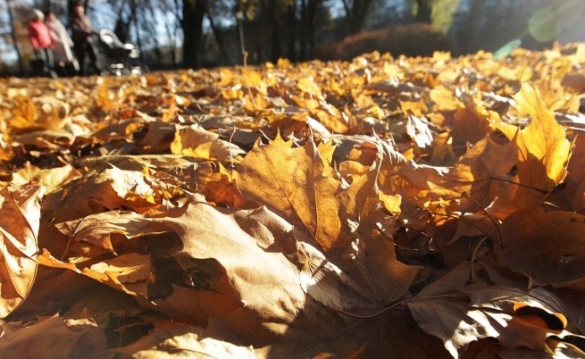 Днес над по голямата част от страната денят ще започне