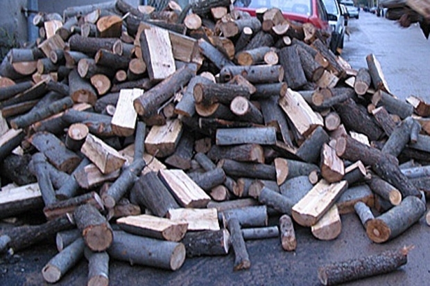 Незаконни дърва са били открити в къща във Врачанско, съобщиха