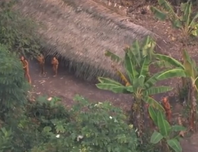 Няколко души разхождащи се на поляна насред гъстата амазонска растителност