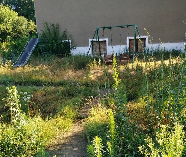 След смъртта на кметския на село Игнатово община Вълчедръм то