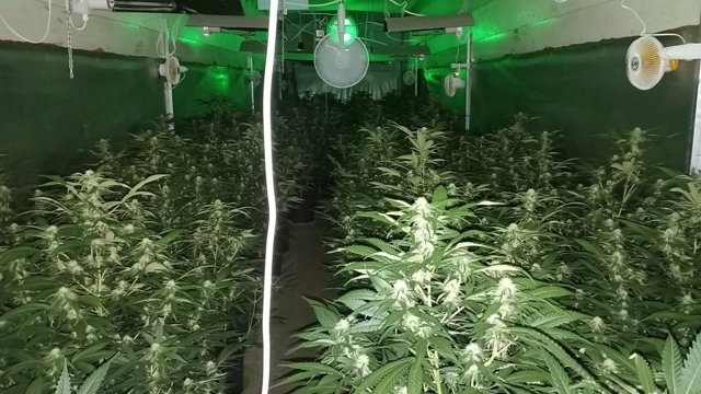 Иззеха над 66 000 лева и наркотици при спецакция на