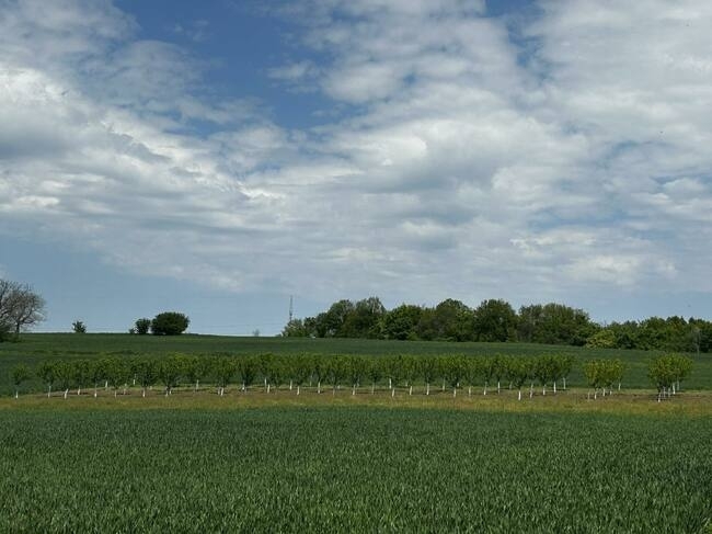 Днес над много райони облачността временно ще намалее но сутринта