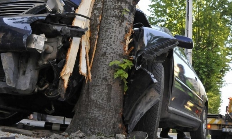Жена е катастрофирала в дърво във Видинско научи агенция BulNews