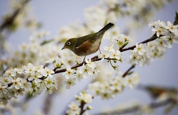Днес ще бъде предимно слънчево с разкъсана висока облачност По значителна